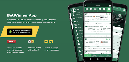 Tout ce que vous devez savoir sur betwinner